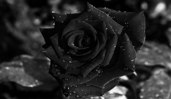 imagen de Fallecimiento de la Sra. Madre de la expresidenta Esc. Jenifer Alfaro Borges