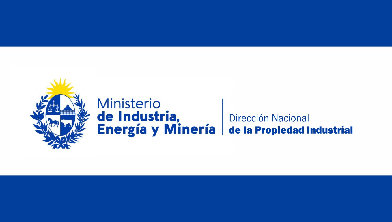 imagen de DNPI: Convocatoria a Escribanos recién recibidos y estudiantes avanzados para realizar pasantías