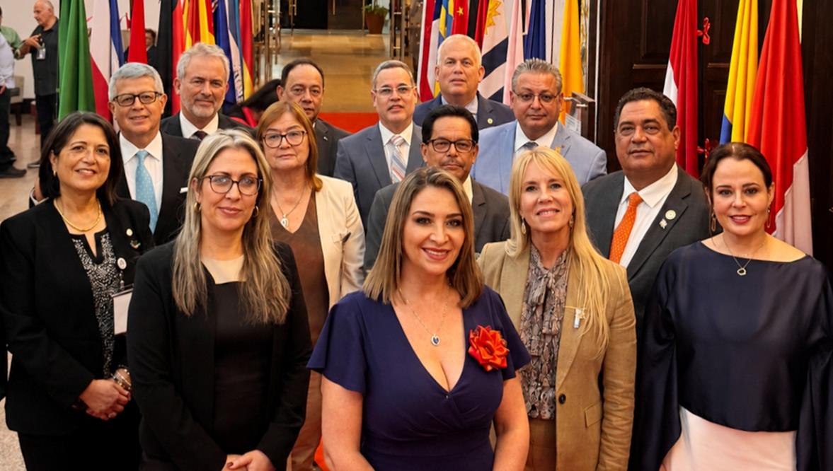 imagen de Participación de la AEU en la 115 Sesión Plenaria de la CAAm